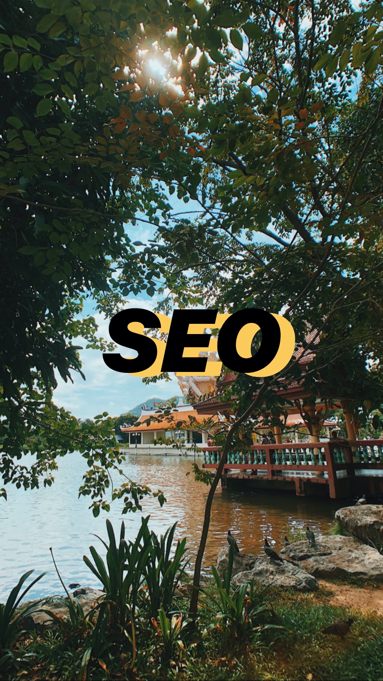 SEO Display
